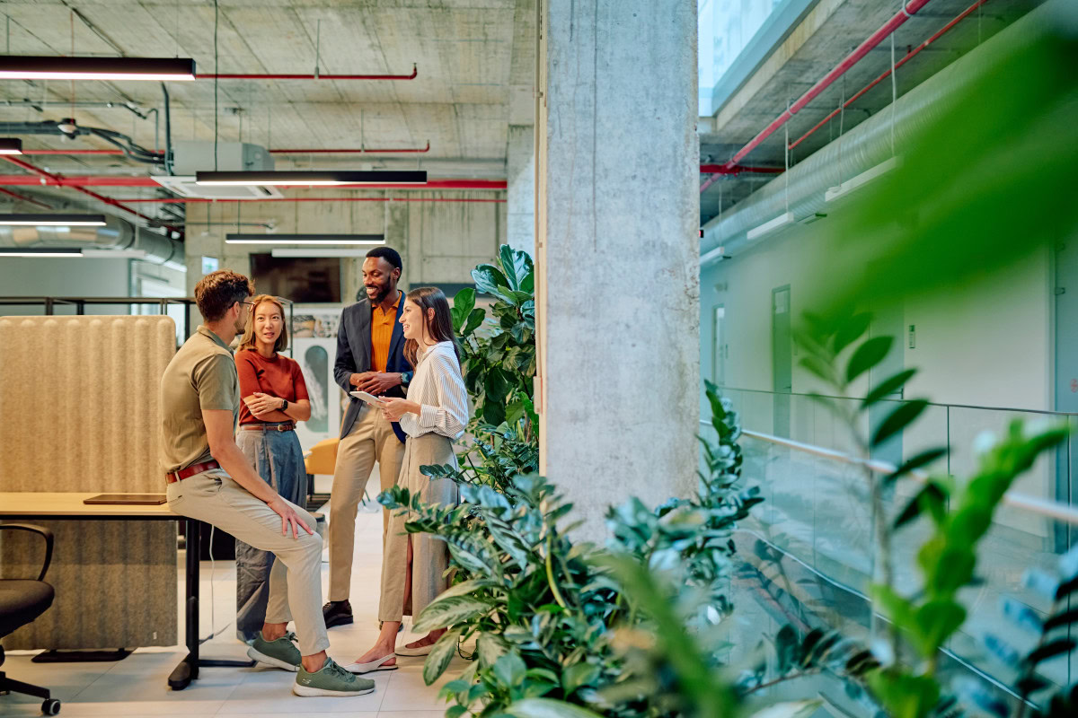 Groupe discutant dans un bureau moderne et vert.